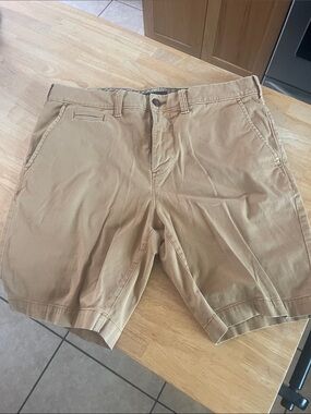 Women’s Express Classic Chino Bermuda Shorts in Khaki